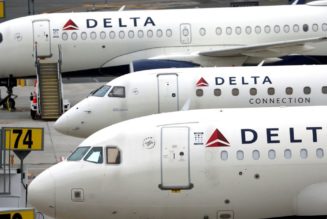 Delta bets on premium travel as 'shock absorber' for economic downturn - Reuters