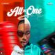 DJ Kamol 2 ft DJ Budu – All In One Mixtape