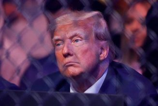 Donald Trump shows up to UFC 287 in support of Dana White, Jorge Masvidal - Fox News