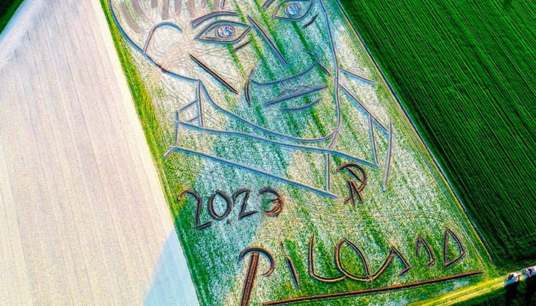 Italian Artist Creates Massive Land Art Portrait of Pablo Picasso