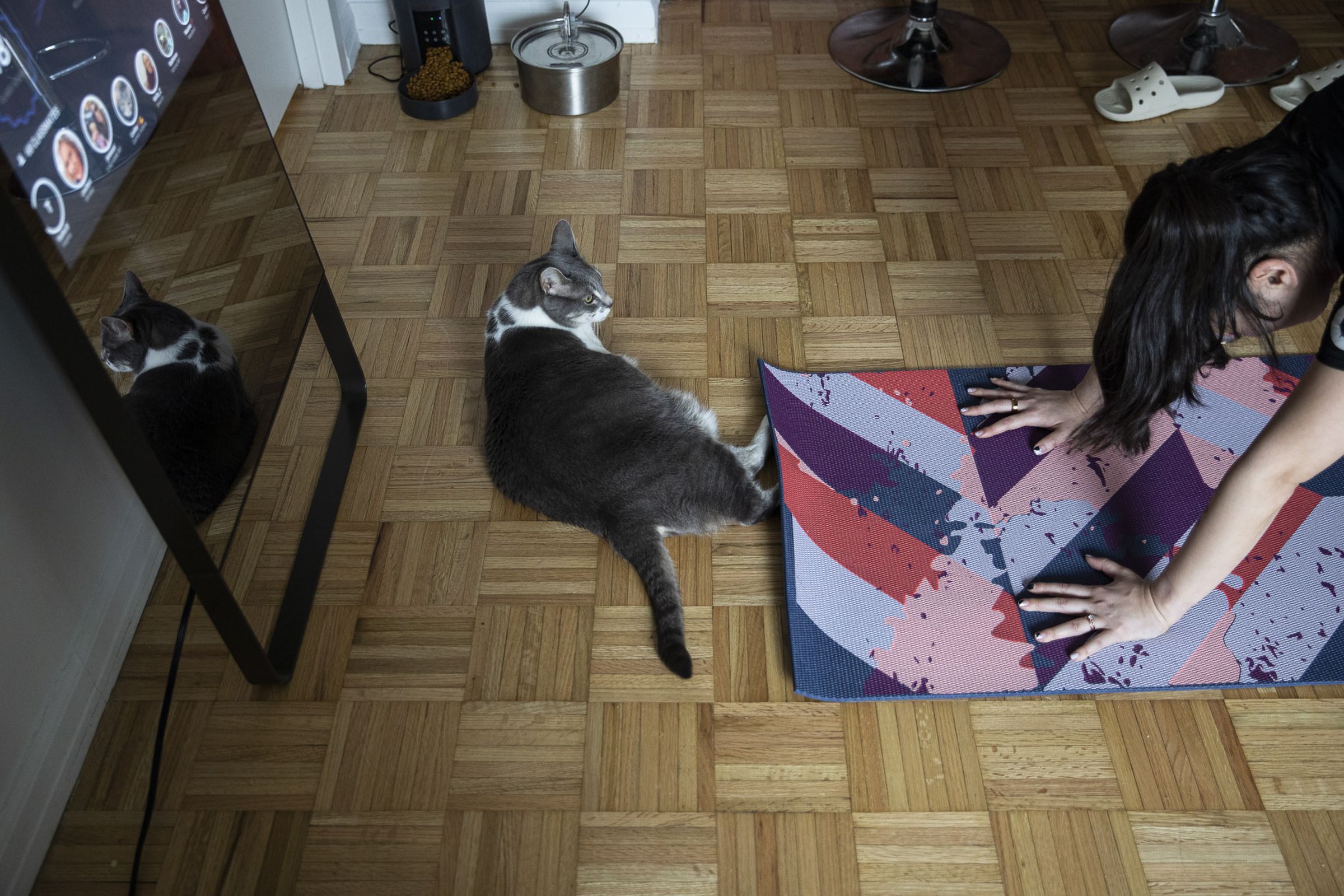 Person doing yoga in front of mirror while a dubiously voluptuous cat looks on.