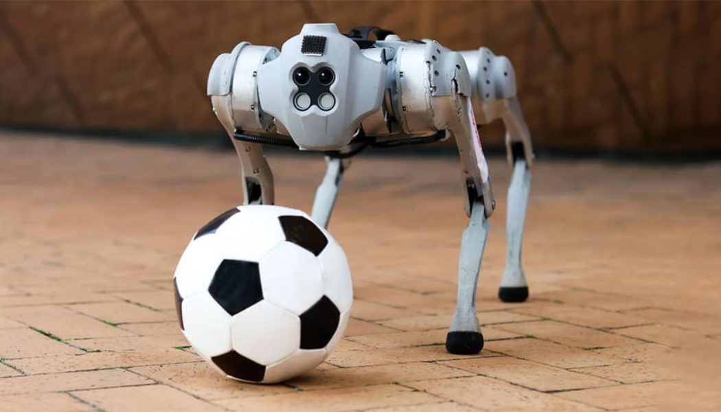 MIT's Dribblebot Can Play Soccer on Different Terrains