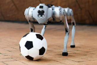 MIT's Dribblebot Can Play Soccer on Different Terrains