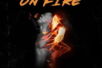 Alikiba - On Fire (Mp3 Download) — NaijaTunez