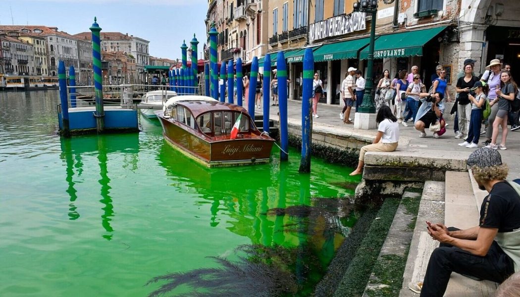 Canal Grande in Venedig leuchtet grün