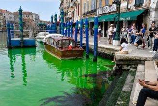 Canal Grande in Venedig leuchtet grün