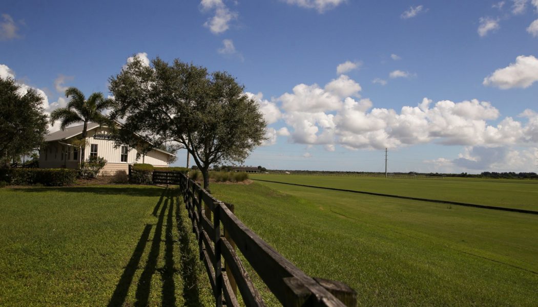 DeSantis, other officials uphold Martin County's controversial rural-lifestyle land use