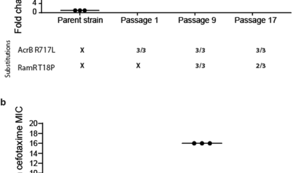 Functionally distinct mutations within AcrB underpin antibiotic resistance in different lifestyles | npj Antimicrobials and ... - Nature.com