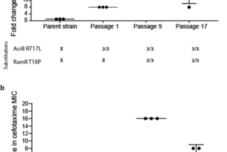 Functionally distinct mutations within AcrB underpin antibiotic resistance in different lifestyles | npj Antimicrobials and ... - Nature.com