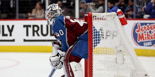 Alexandar Georgiev in net