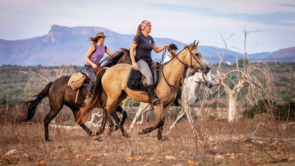 Naturacavall operates horse- riding excursions from around 66 dollars for two hours around the island.