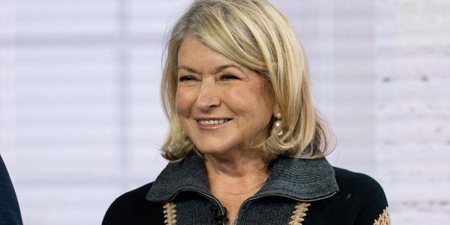 Martha Stewart on TV