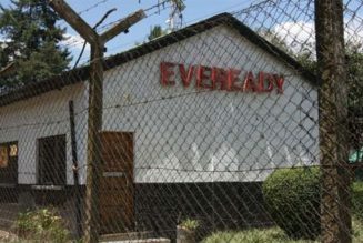 Merali company sells 35pc stake in Eveready