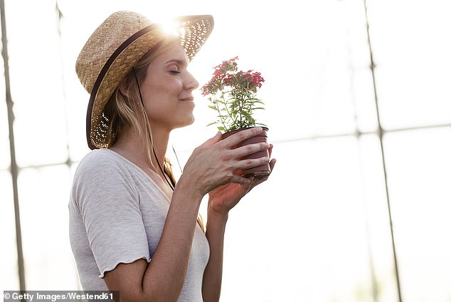 Being physically active in the fresh air, whether digging, sweeping or planting, can lead to reduced agitation and improved sleep, an expert says (stock image)