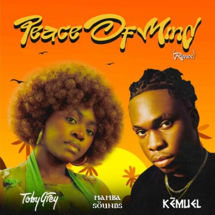 Toby Grey &#8211; Peace of Mind (Remix) ft Kemuel &#038; Mamba Sounds