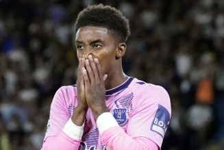 Demarai Gray: Fulham keen on Everton forward