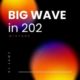 DJ Lawy - Big Wave In 202 Mix (Mixtape)