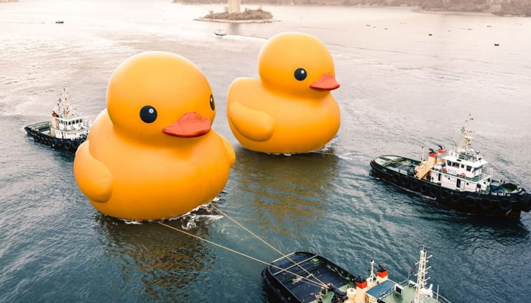 Florentijn Hofman's Giant Rubber Ducks Return to Hong Kong