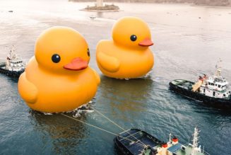 Florentijn Hofman's Giant Rubber Ducks Return to Hong Kong