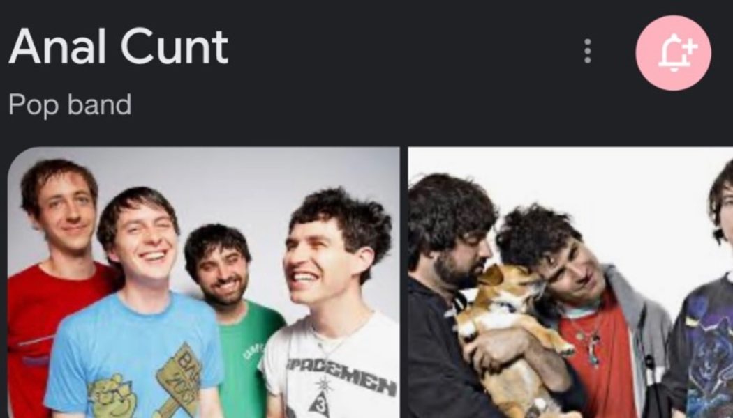 Google Thinks Animal Collective is Anal Cunt