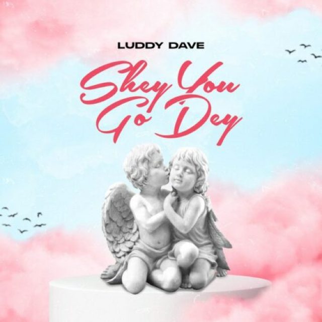 Luddy Dave &#8211; Shey You Go Dey