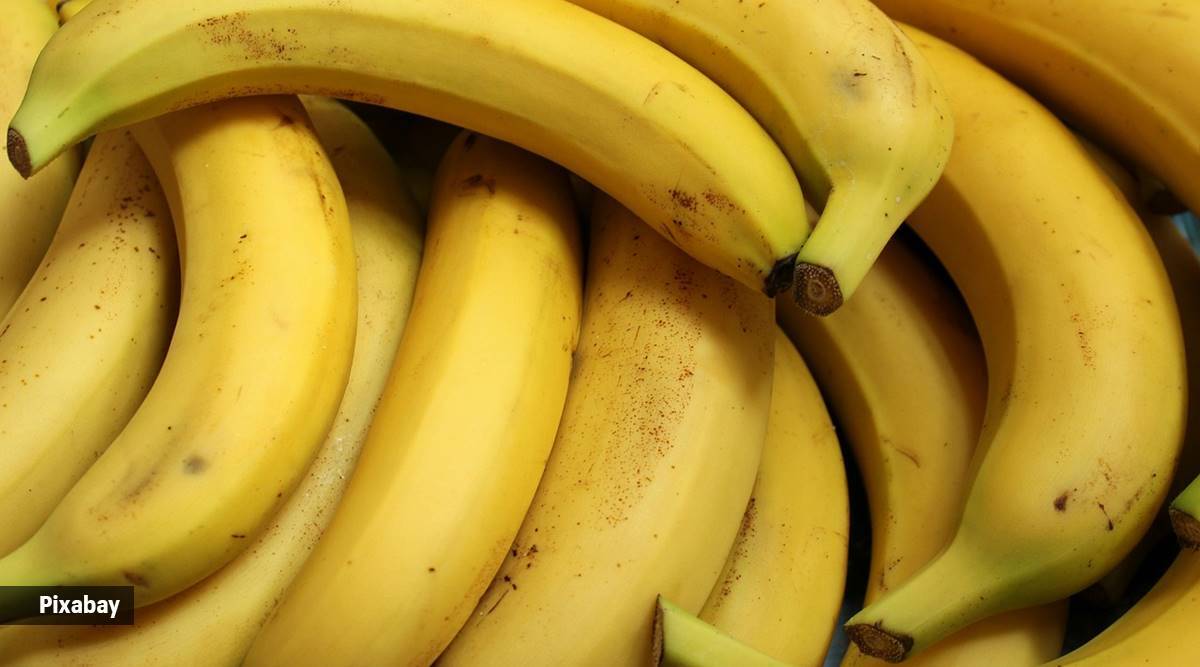 Bananas contain tryptophan, which helps the body produce serotonin, a neurotransmitter that contributes to mood regulation.