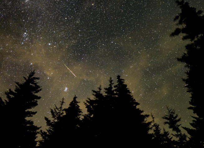 Photograph of the night sky over evergreen trees