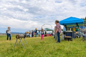 Wildlife Festival will have cookout dinner, prizes, music and mechanical bear - East Idaho News