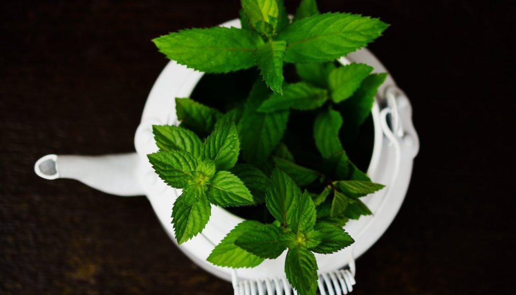 10 Benefits of Peppermint Tea: An Aromatic Tea for Healthy Living