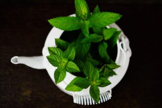 10 Benefits of Peppermint Tea: An Aromatic Tea for Healthy Living