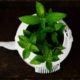 10 Benefits of Peppermint Tea: An Aromatic Tea for Healthy Living