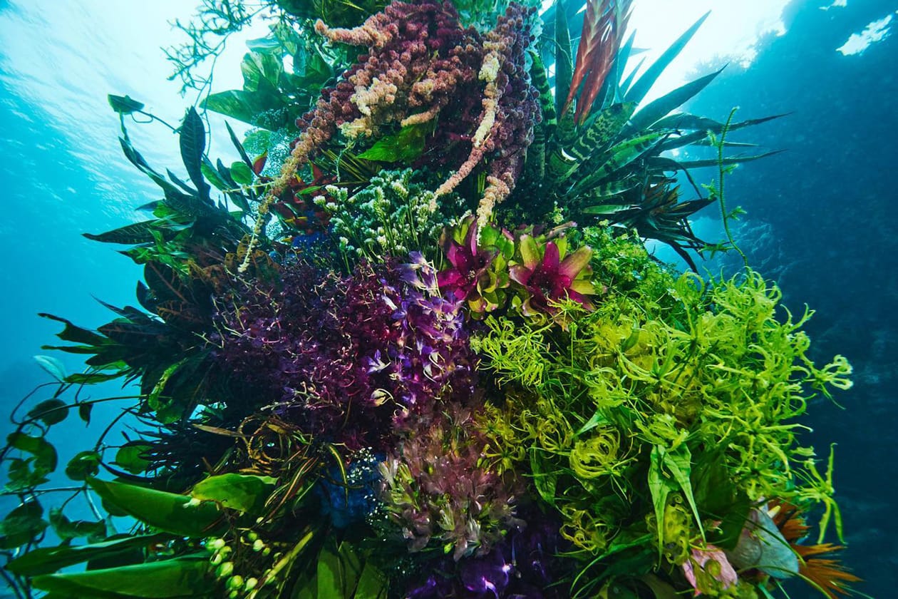 Azuma Makoto Submerges Floral Installation in Uncharted Ocean Waters in bloom artist creative flowers natural world coexist japanese sea nature natural world texture shape color vibrant display installation arrangement