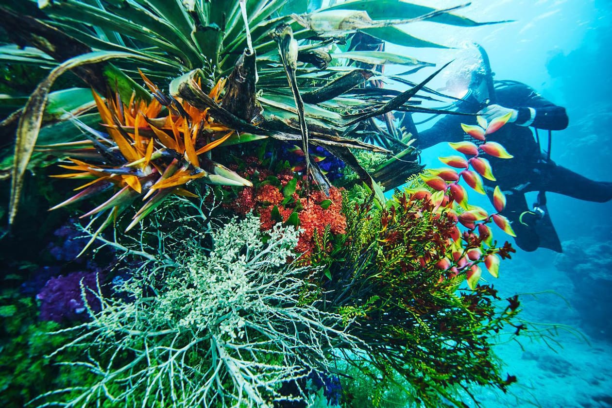 Azuma Makoto Submerges Floral Installation in Uncharted Ocean Waters in bloom artist creative flowers natural world coexist japanese sea nature natural world texture shape color vibrant display installation arrangement