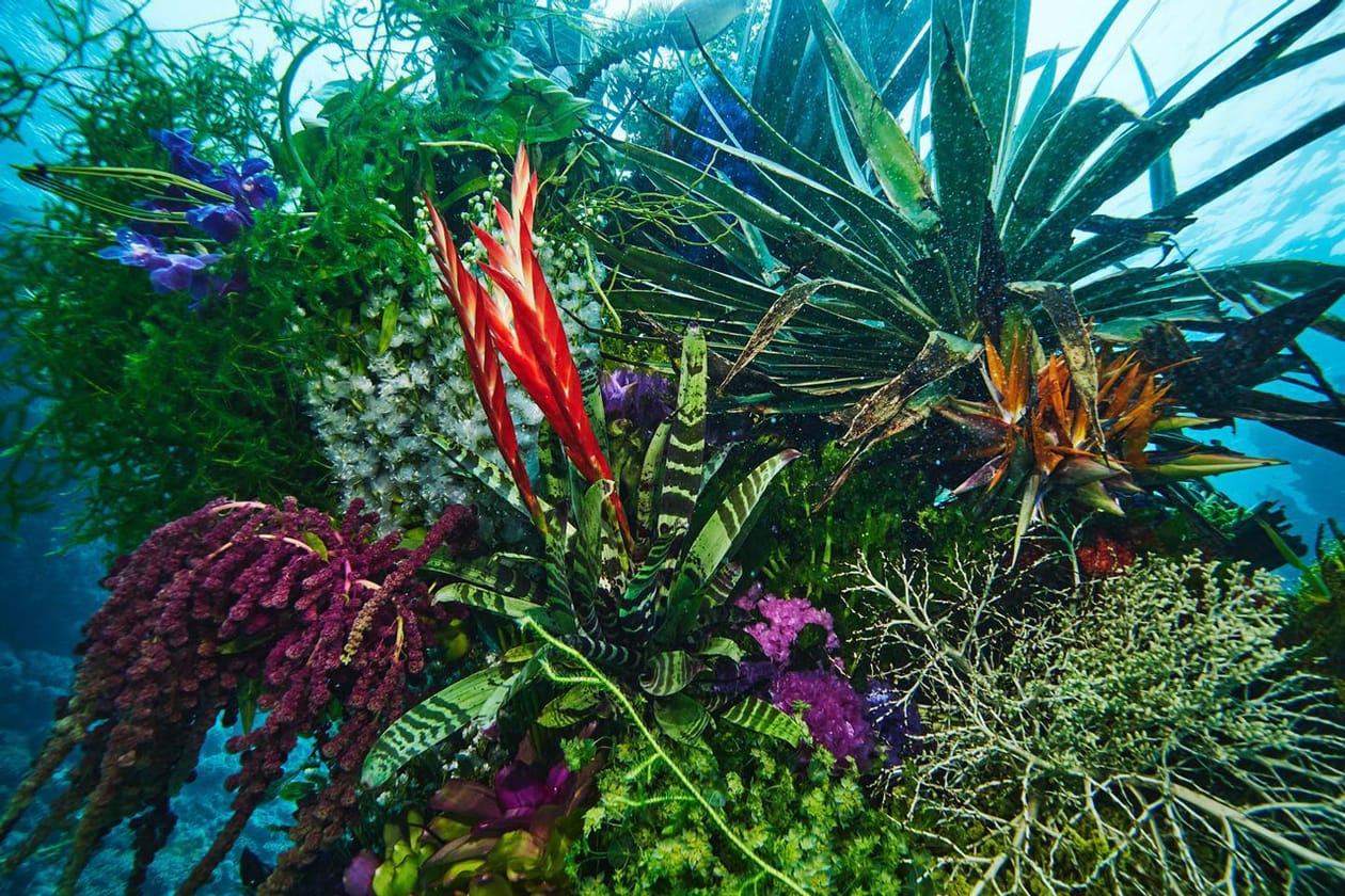 Azuma Makoto Submerges Floral Installation in Uncharted Ocean Waters in bloom artist creative flowers natural world coexist japanese sea nature natural world texture shape color vibrant display installation arrangement