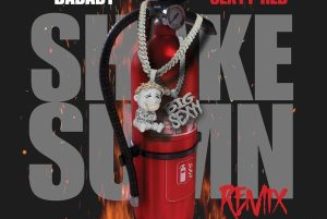 DaBaby - SHAKE SUMN (REMIX) Ft Sexyy Red (Mp3 Download) — NaijaTunez