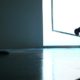 David Zwirner Announces Representation of British Dancer and Choreographer Sarah Michelson