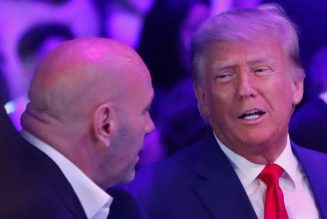 Donald Trump receives cheers at UFC 290 during appearance with Dana White