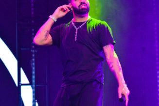 Drake Becomes Latest Artist To Get Hit With An Object On Stage