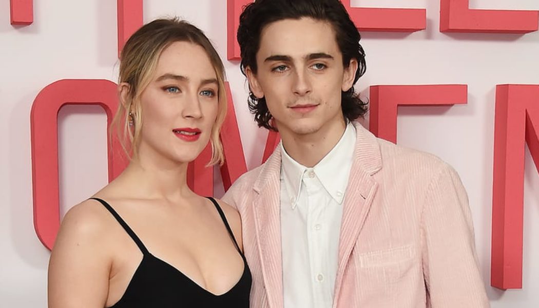 Greta Gerwig Initially Planned for Timothée Chalamet and Saoirse Ronan Cameos in 'Barbie'