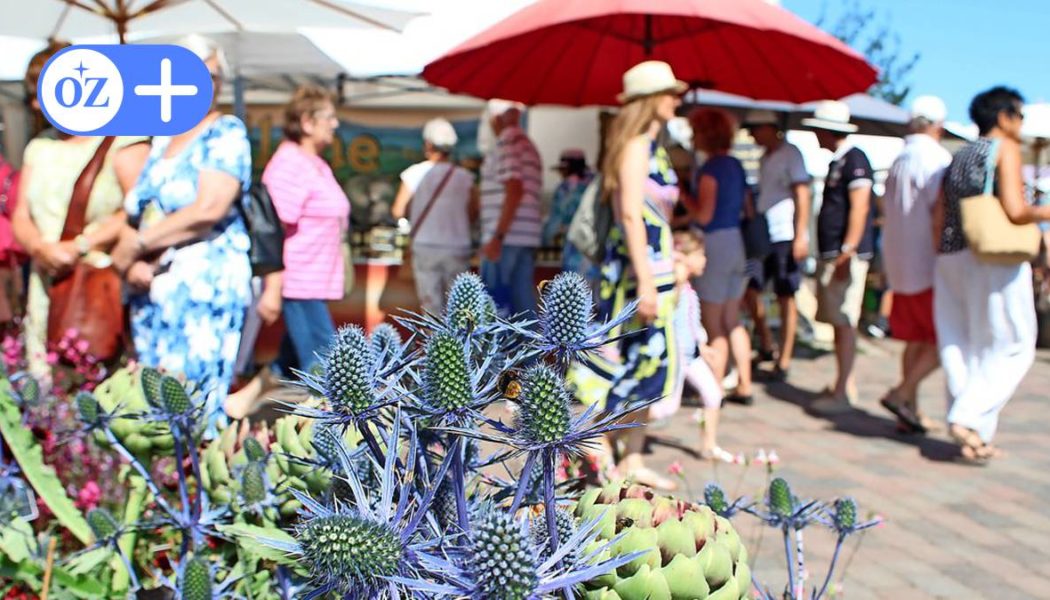 Lebensart-Messe für Garten und Lifestyle auf Gut Brook: Das muss man wissen