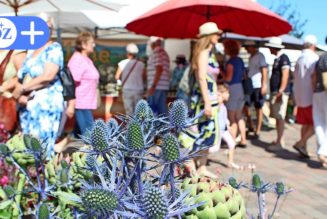 Lebensart-Messe für Garten und Lifestyle auf Gut Brook: Das muss man wissen