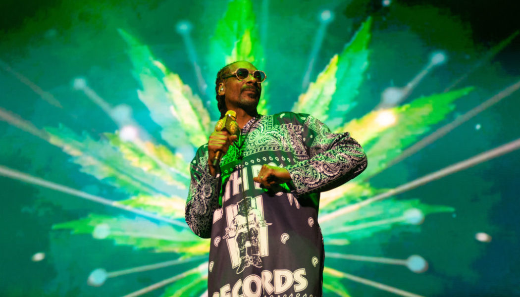 Nardwuar Interviews Snoop Dogg On 'High School Reunion' Tour