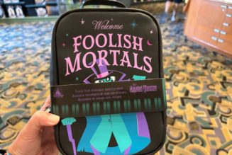 New Haunted Mansion Travel Tech Pouch with Eye Mask, iPhone Cases Now Available at Disneyland Resort - WDW News Today