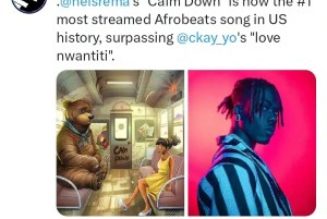 Rema’s ‘Calm Down’ Becomes Most Streamed African Song In US