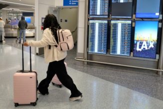 Summer air travel issues likely to continue, experts warn