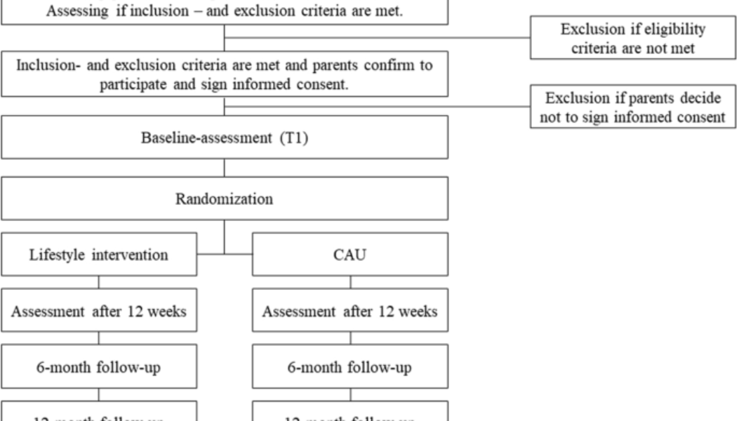 The short and long-term effects of a lifestyle intervention in children with mental illnesses: a randomized controlled trial (Movementss study) - BMC Psychiatry