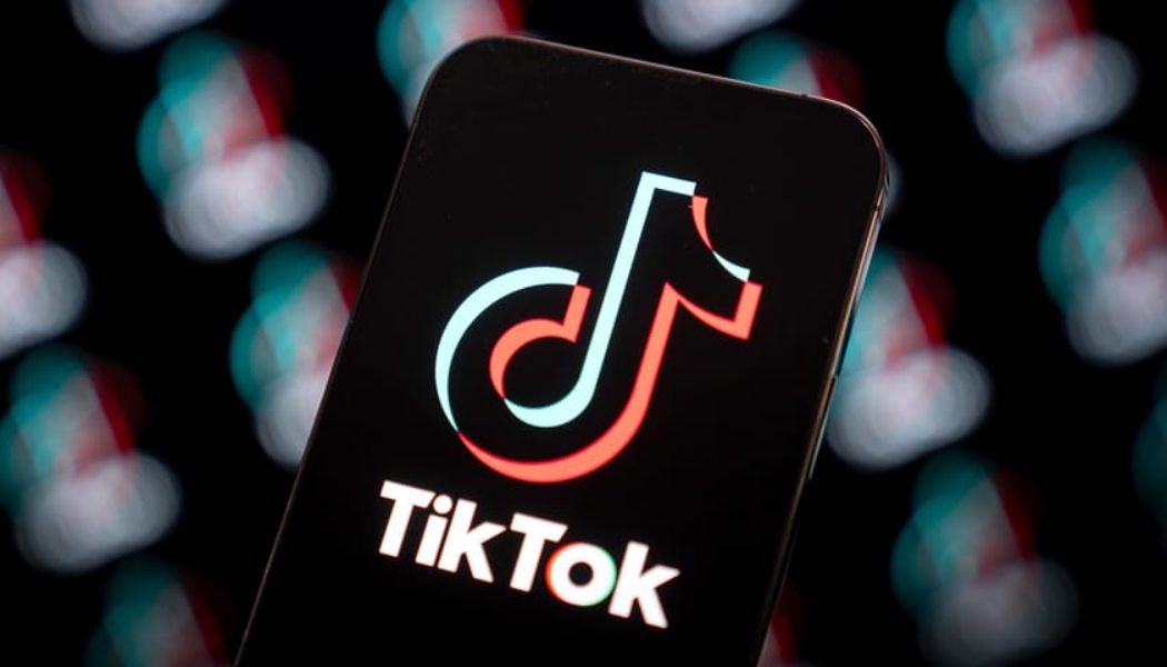 TikTok Launches "Elevate" Music Program