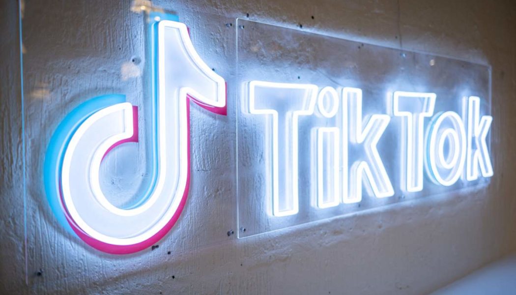 TikTok's new program aims to identify rising artists in the music industry | TechCrunch