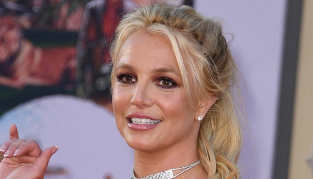 Video shows alleged slapping incident between Victor Wembanyama's security, Britney Spears