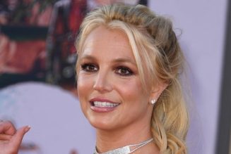 Video shows alleged slapping incident between Victor Wembanyama's security, Britney Spears